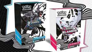 Pokémon : Lots de 6 boosters Écarlate et Violet – EV 10.5 Foudre Noire et Flamme Blanche